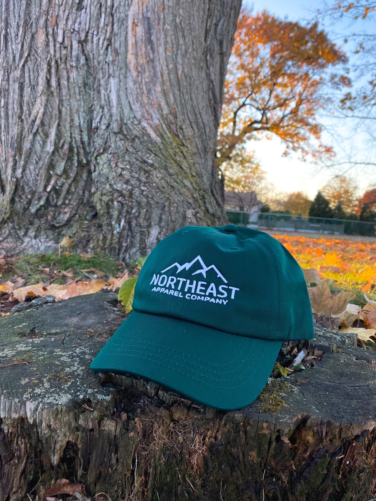 Recycled Baseball Hat - Classic Logo