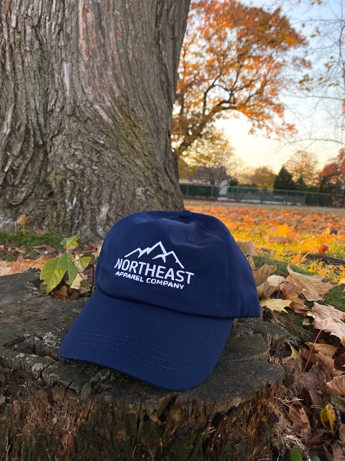 Recycled Baseball Hat - Classic Logo